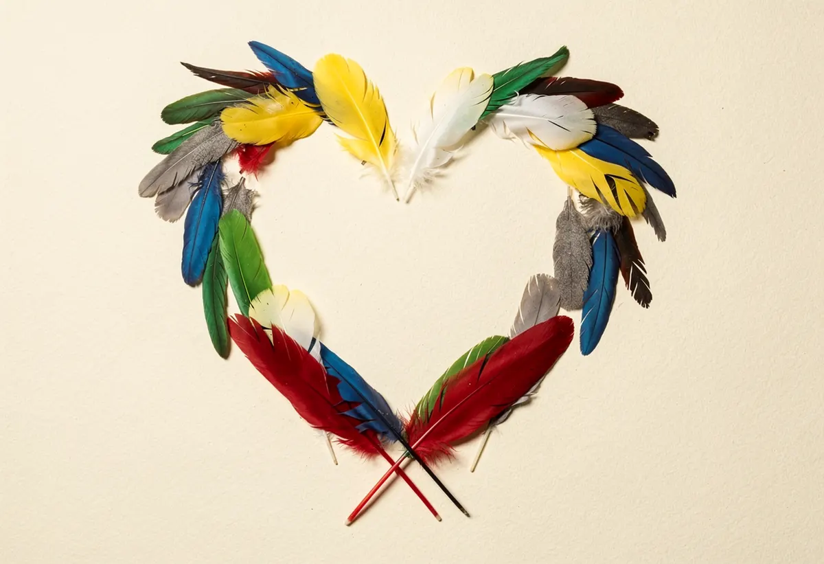Parrot feathers in red, blue, green, yellow, white and grey arranged into a heart shape on cream paper